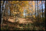  fall020tn.jpg (1736 bytes)