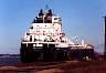 tn_buffalo01_jpg.jpg (2090 bytes)